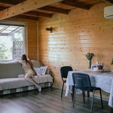 Feriehus Pod Brzozami Brodnica (Kartuzy)