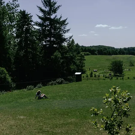 Pod Brzozami Hébergement de vacances *