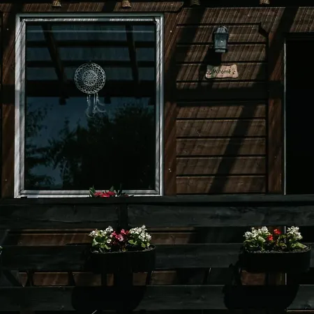 Hébergement de vacances Pod Brzozami *