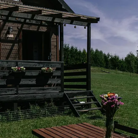 Pod Brzozami * Brodnica (Kartuzy)