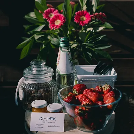 Pod Brzozami Feriehus