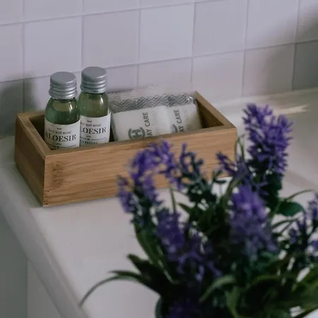 Hébergement de vacances Pod Brzozami *