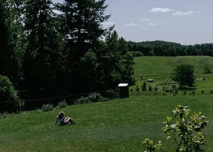 Pod Brzozami בית נופש *