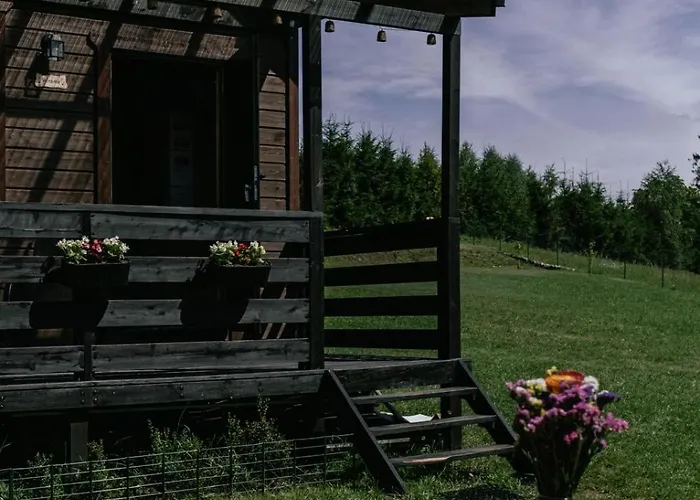 Pod Brzozami * ברודניצה