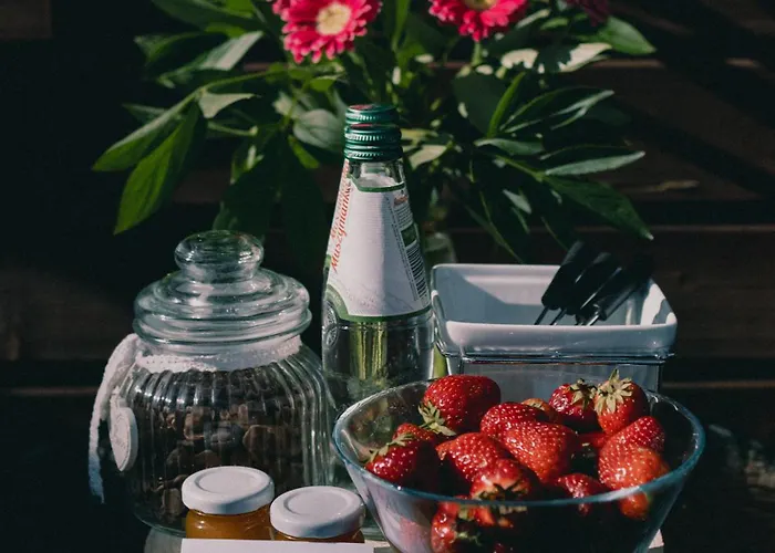 Pod Brzozami בית נופש